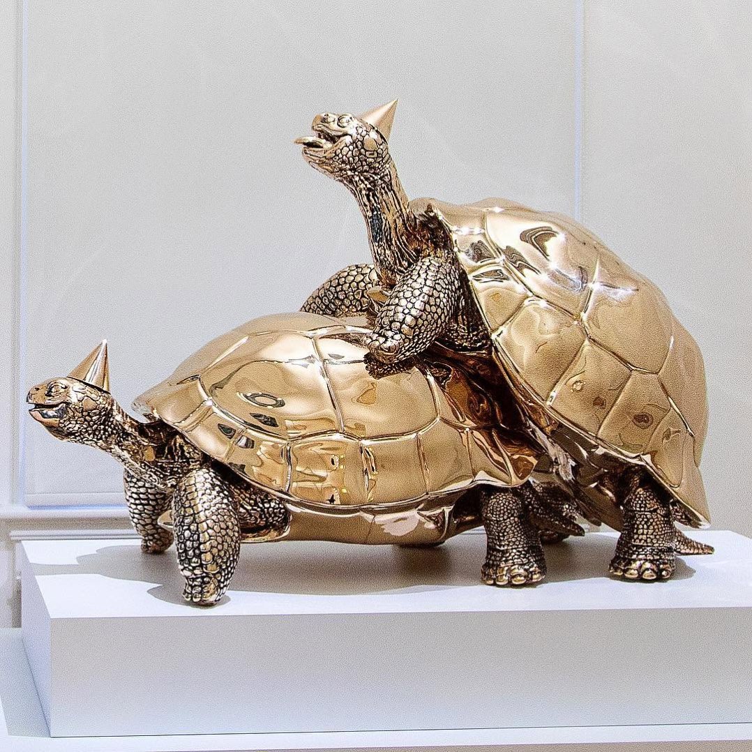 Ever seen turtles doing this in real life...??👀 #turtle #sexy #loveyou #amsterdam