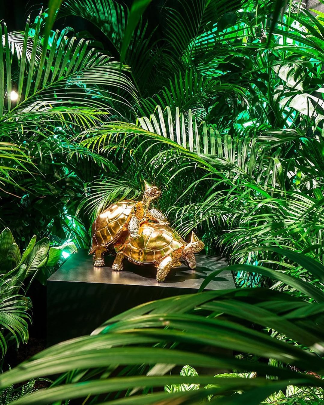 This picture shows the first time we exhibited my mating turtles sculpture called “Baby we made it” I don’t know if you can see the difference but this version had 24karat gold leaf instead of polished bronze. We created a large room full of jungle plants inside a venetian palace just to show this sculpture in an interesting context.. like a natural habitat but then in the wrong place . . #art #sculpture #contemporaryart #josephklibamsky #artcontemporain