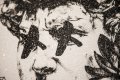 Love You Back (white/black, diamond dust), 2017 by Joseph Klibansky